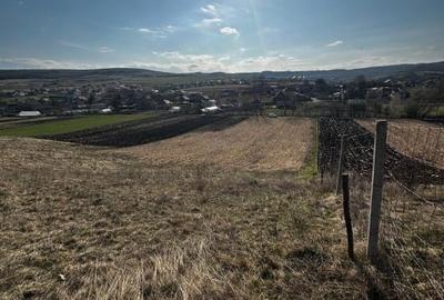 Teren agricol extravilan de 9000 mp, în Baciu - 10