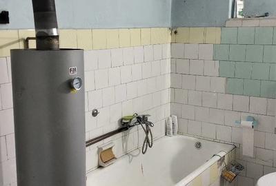 Casă cu 4 camere cu Teren 1507 Mp în Dudeștii Vechi - 4