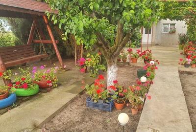 Casă cu 4 camere cu Teren 4300 Mp în Chirnogi - 4