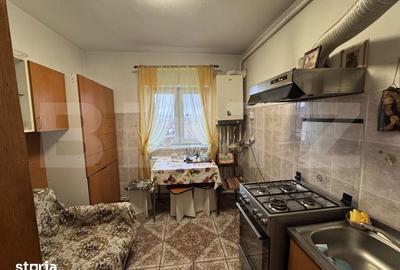 Apartament cu 2 camere decomandat, mobilat în Traian - 4
