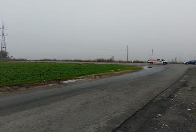 Teren Construcții intravilan de 10000 mp, în Lumina - 4