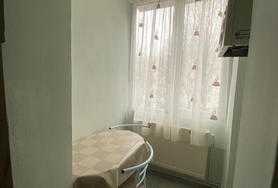 Garsonieră decomandată în Tudor - 5