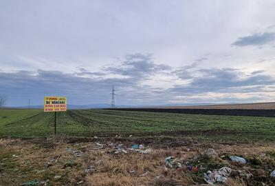 Teren de 5400 mp, în Bălușeni