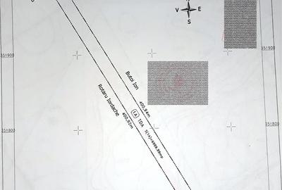Teren de 7000 mp, în Gruiu - 2
