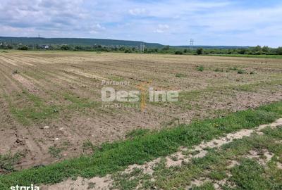 Teren de 5800 mp, în Mărăcineni - 1