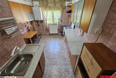 Apartament cu 2 camere decomandat în Bistrița Lac - 6