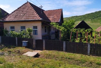 Casă cu 3 camere în Central
