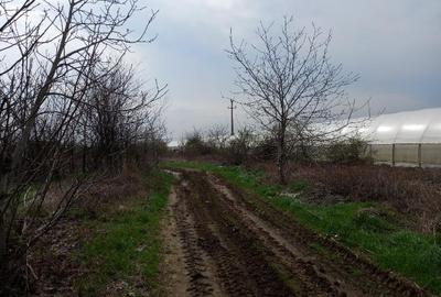 Teren de 500 mp, în Varlaam - 3