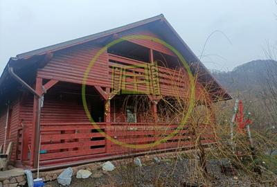 Proprietate specială, de 220 mp, în Bistra Mureșului - 1