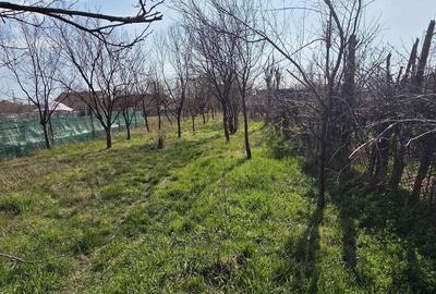 Teren de 528 mp, în Bujac - 3