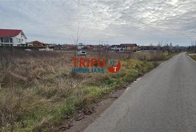 Teren de 5998 mp, în Cetate