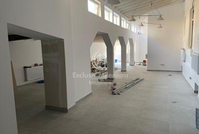 Casă individuală cu 7 camere cu Canalizare în Ștefan cel Mare - 2