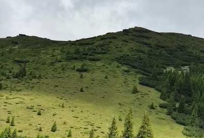 Spațiu comercial, de 1,100,000 mp, în Nucșoara - 4
