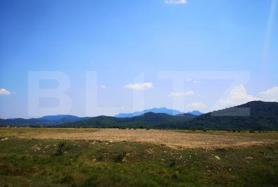 Teren agricol extravilan de 7000 mp, în Caragiale