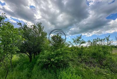 Teren agricol intravilan de 3600 mp, în Gura Vitioarei - 7