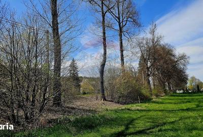 Teren de 10000 mp, în Vânători-Neamț - 7
