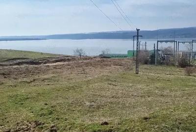 Teren de 5000 mp, în Burila Mare - 1