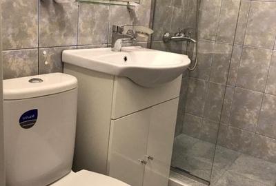 Apartament cu 2 camere semidecomandat în Podu Roș - 2