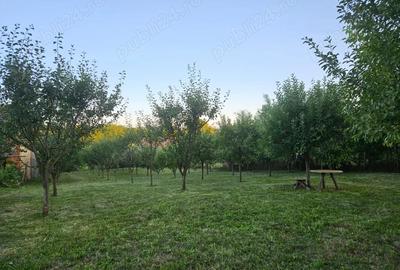 Teren de 950 mp, în Topârcea - 1