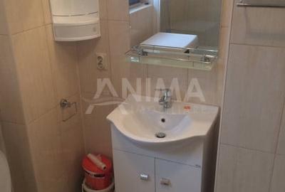 Apartament cu 2 camere semidecomandat, mobilat în Plopilor - 6