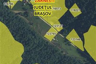 Teren Construcții extravilan de 2850 mp, în Plaiul Foii