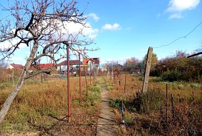 Casă individuală cu 3 camere cu Canalizare în Oșorhei - 8