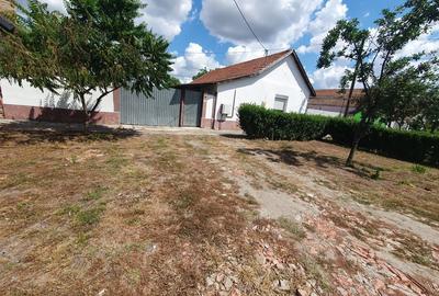 Casă cu 2 camere în Turnu - 4