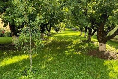 Casă individuală cu 3 camere cu Canalizare în Central - 7