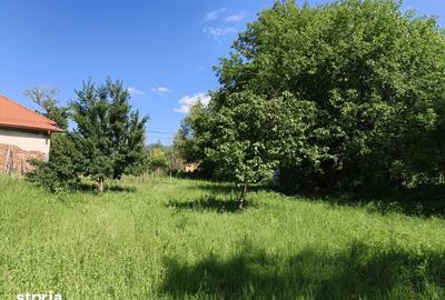 Teren de 2000 mp, în Dăești - 3