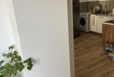 Casă cu 3 camere în Gura Câlnăului - 4