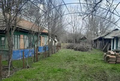 Teren de 5000 mp, în Albeni - 1
