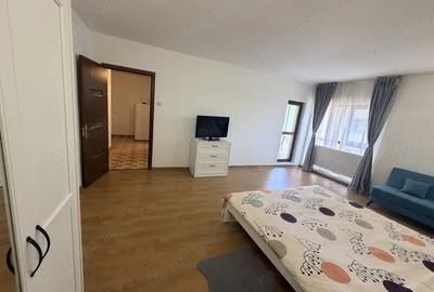 Garsonieră decomandată în Brestei - 4