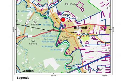 Teren de 5000 mp, în Brănești - 4