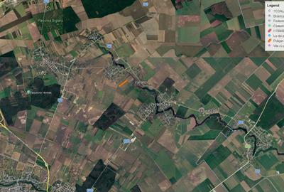 Teren de 24500 mp, în Dascălu
