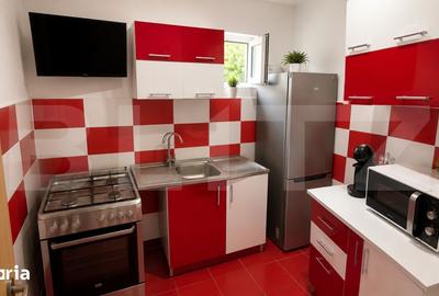 Casă cu 2 camere cu Teren 214 Mp în Beriu - 11