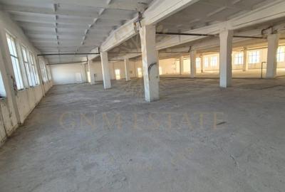 Spațiu industrial, de 3,700 mp, în Theodor Pallady - 1