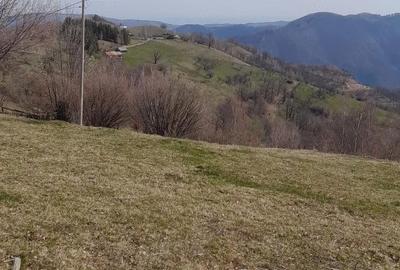 Teren de 2000 mp, în Dobra - 3