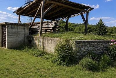 Casă cu 3 camere în Cepari