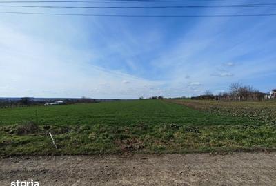 Teren de 252 mp, în Valu lui Traian - 1