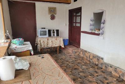 Casă cu Teren 2536 Mp în Peșteana-Jiu - 4
