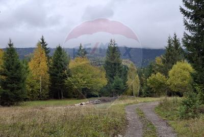 Teren agricol extravilan de 40000 mp, în Suseni - 6
