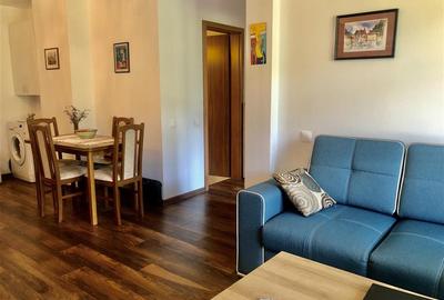Apartament cu 2 camere decomandat, mobilat în Cernatu - 13