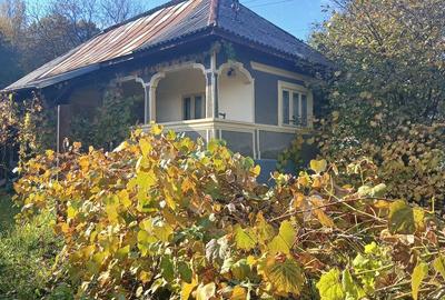 Casă cu 3 camere cu Teren 3000 Mp în Urseiu