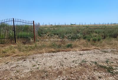 Teren Construcții intravilan de 423 mp, în Techirghiol - 6
