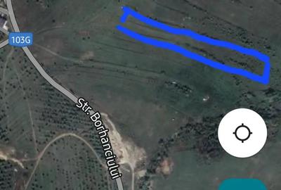 Teren în Borhanci - 5