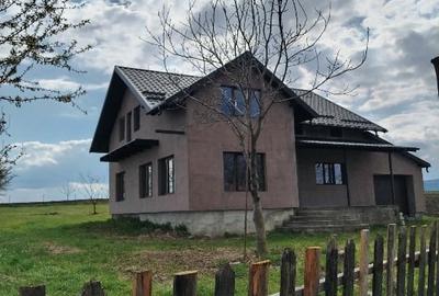 Casă individuală cu 5 camere cu Teren 4000 Mp în Central - 3