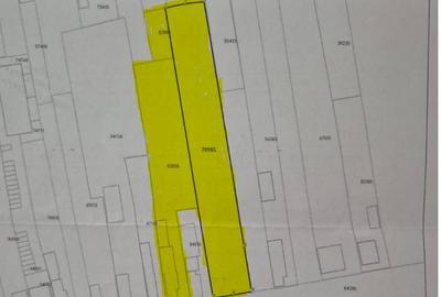 Teren Construcții intravilan de 4925 mp, în Florești - 2