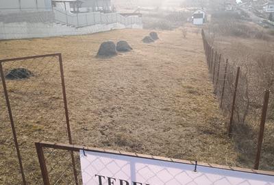 Teren în Dezmir - 7