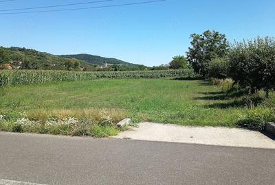 Teren de 1400 mp, în Săbișa