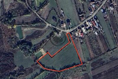Teren de 11000 mp, în Ghirdoveni - 14